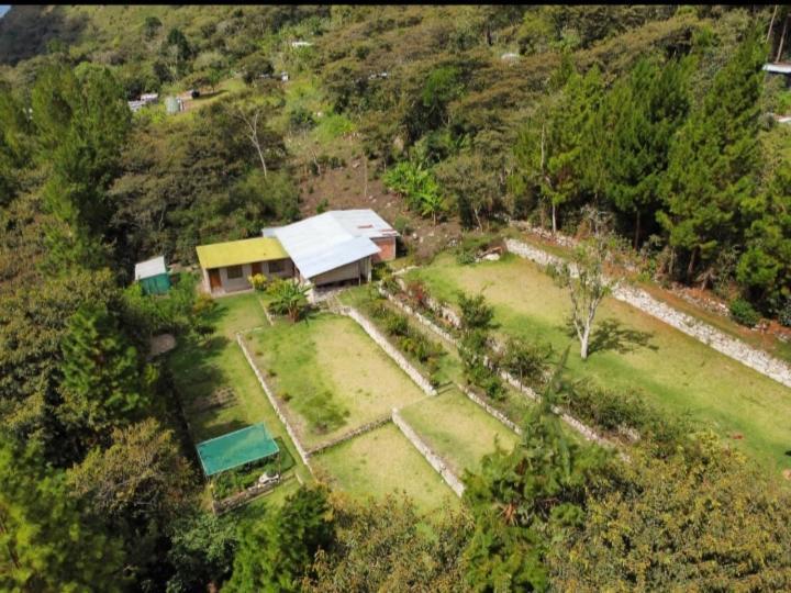 Lucmabamba Lodge Santa Teresa  Exterior foto