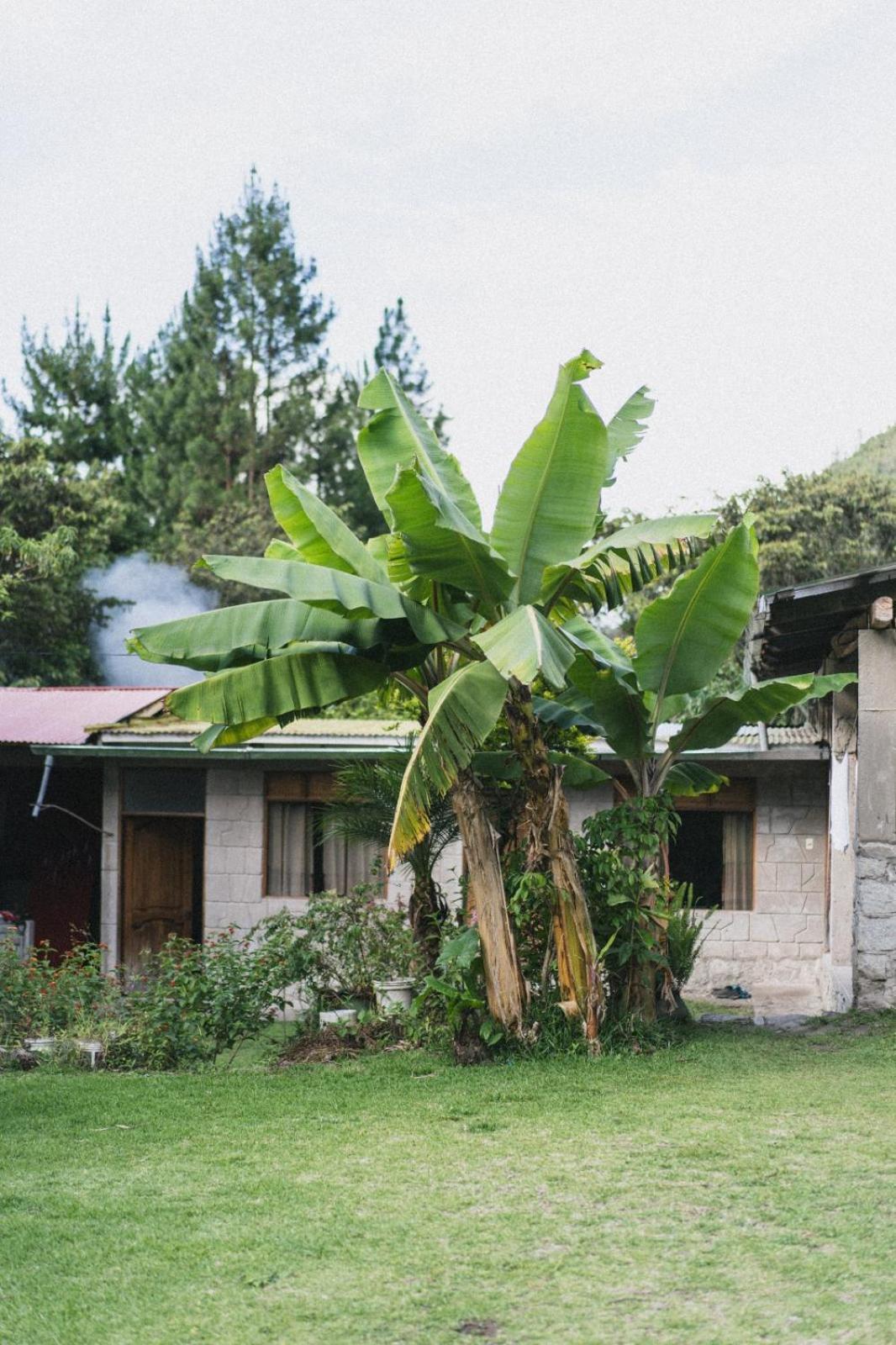 Lucmabamba Lodge Santa Teresa  Exterior foto
